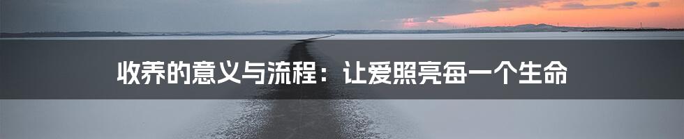 收养的意义与流程：让爱照亮每一个生命