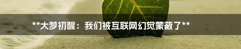 **大梦初醒：我们被互联网幻觉蒙蔽了**