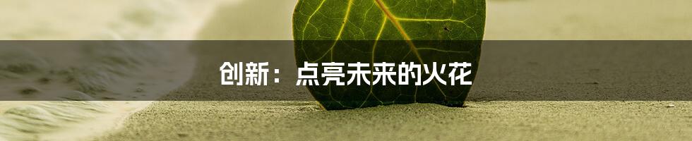 创新：点亮未来的火花