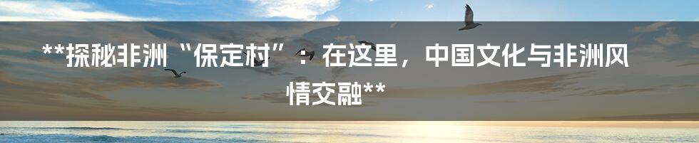 **探秘非洲“保定村”：在这里，中国文化与非洲风情交融**