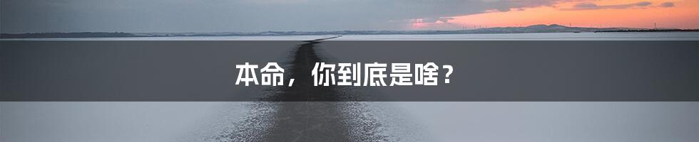 本命，你到底是啥？