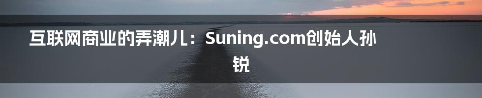 互联网商业的弄潮儿：Suning.com创始人孙锐