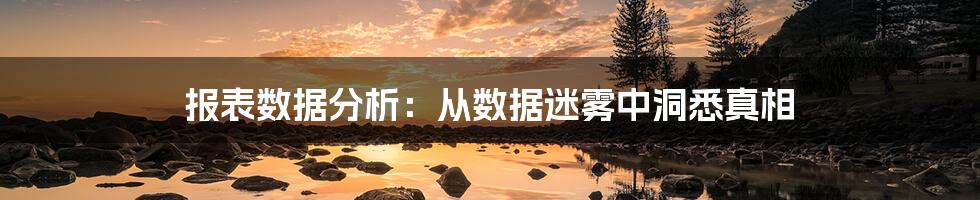 报表数据分析：从数据迷雾中洞悉真相