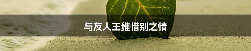 与友人王维惜别之情