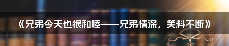 《兄弟今天也很和睦——兄弟情深，笑料不断》