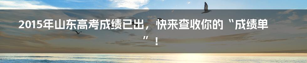 2015年山东高考成绩已出，快来查收你的“成绩单”！