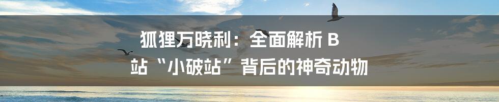 狐狸万晓利：全面解析 B 站“小破站”背后的神奇动物