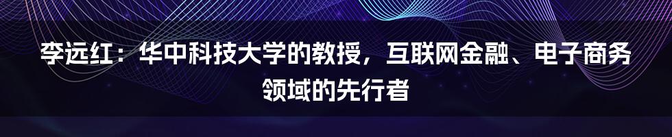 李远红：华中科技大学的教授，互联网金融、电子商务领域的先行者