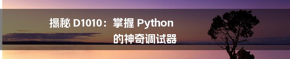 揭秘 D1010：掌握 Python 的神奇调试器