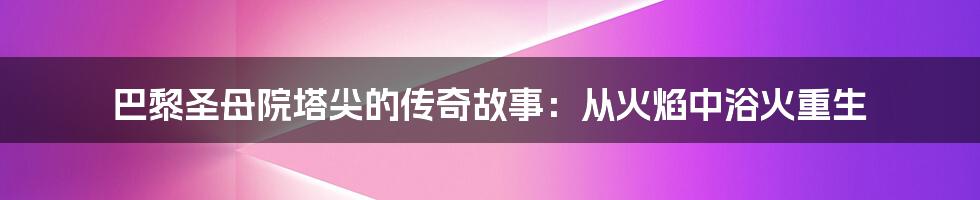 巴黎圣母院塔尖的传奇故事：从火焰中浴火重生