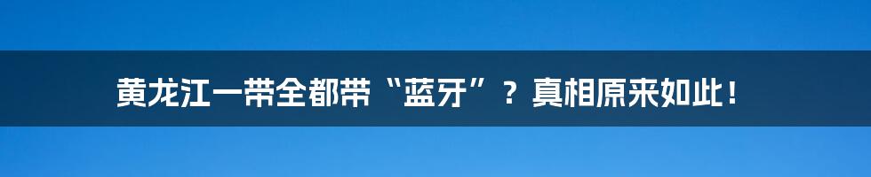 黄龙江一带全都带“蓝牙”？真相原来如此！