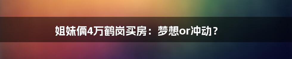 姐妹俩4万鹤岗买房：梦想or冲动？