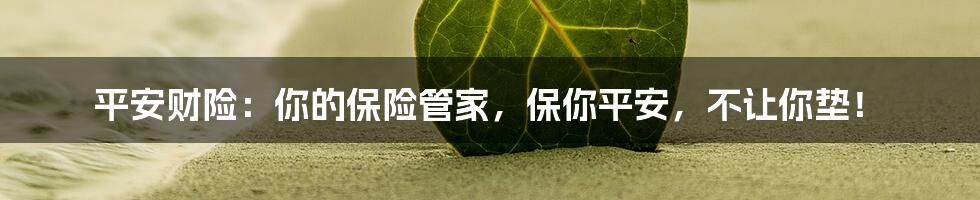 平安财险：你的保险管家，保你平安，不让你垫！