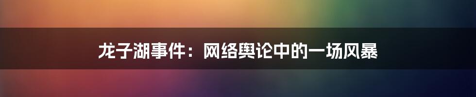 龙子湖事件：网络舆论中的一场风暴