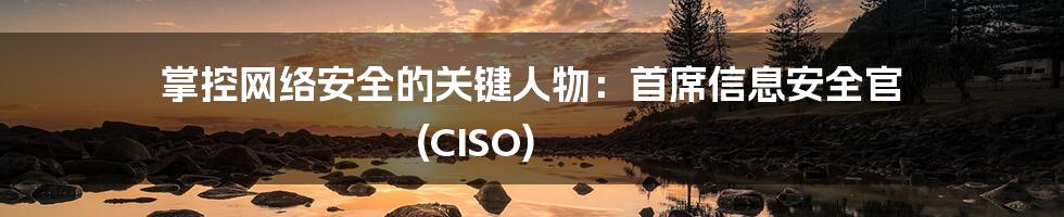 掌控网络安全的关键人物：首席信息安全官 (CISO)