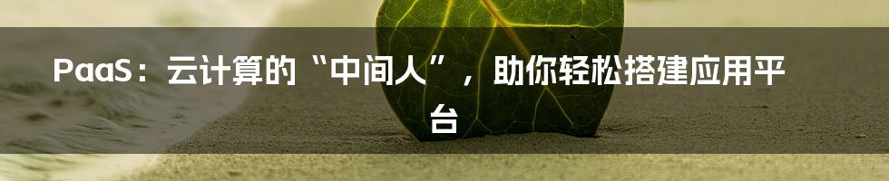 PaaS：云计算的“中间人”，助你轻松搭建应用平台