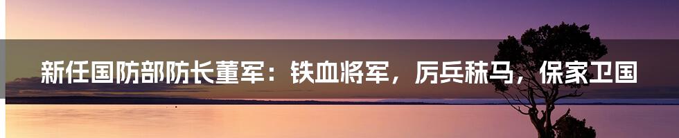 新任国防部防长董军：铁血将军，厉兵秣马，保家卫国