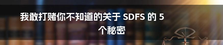 我敢打赌你不知道的关于 SDFS 的 5 个秘密