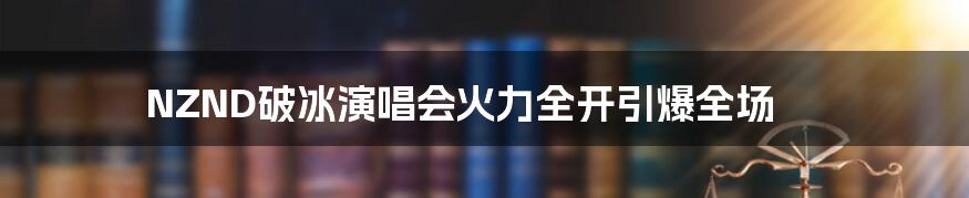 NZND破冰演唱会火力全开引爆全场