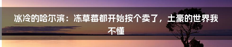 冰冷的哈尔滨：冻草莓都开始按个卖了，土豪的世界我不懂