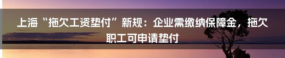 上海“拖欠工资垫付”新规：企业需缴纳保障金，拖欠职工可申请垫付