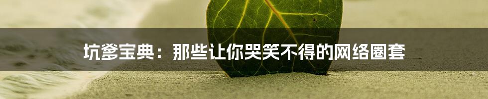 坑爹宝典：那些让你哭笑不得的网络圈套