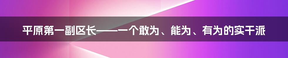 平原第一副区长——一个敢为、能为、有为的实干派