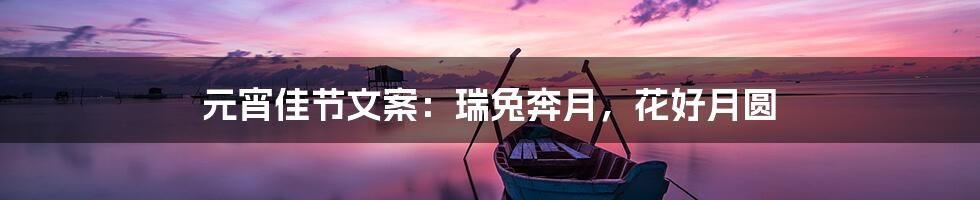 元宵佳节文案：瑞兔奔月，花好月圆