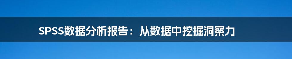 SPSS数据分析报告：从数据中挖掘洞察力