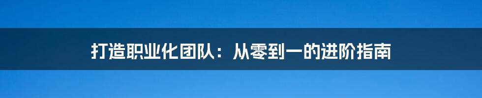 打造职业化团队：从零到一的进阶指南