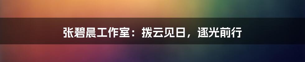 张碧晨工作室：拨云见日，逐光前行