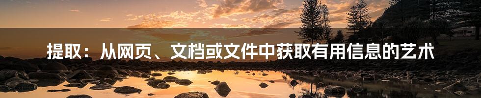 提取：从网页、文档或文件中获取有用信息的艺术