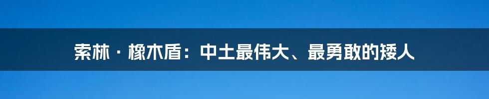 索林·橡木盾：中土最伟大、最勇敢的矮人