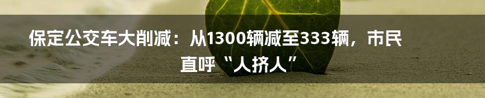 保定公交车大削减：从1300辆减至333辆，市民直呼“人挤人”