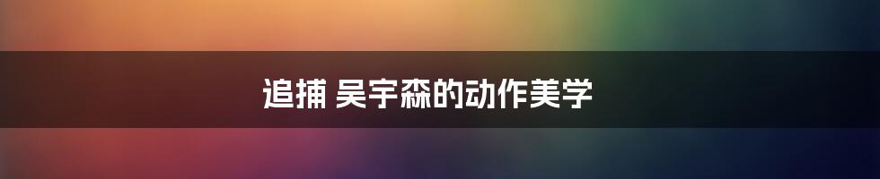 追捕 吴宇森的动作美学