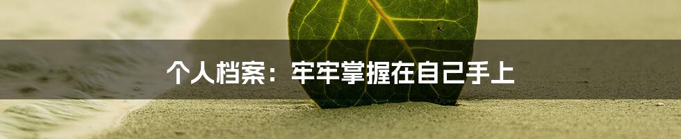 个人档案：牢牢掌握在自己手上