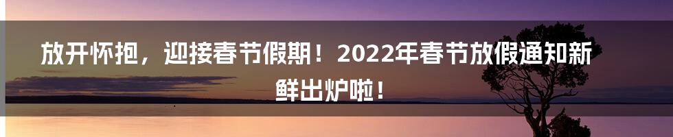 放开怀抱，迎接春节假期！2022年春节放假通知新鲜出炉啦！