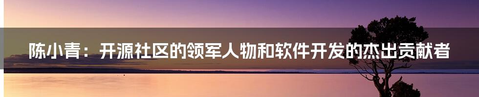 陈小青：开源社区的领军人物和软件开发的杰出贡献者