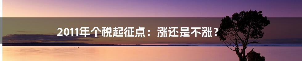 2011年个税起征点：涨还是不涨？