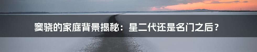 窦骁的家庭背景揭秘：星二代还是名门之后？