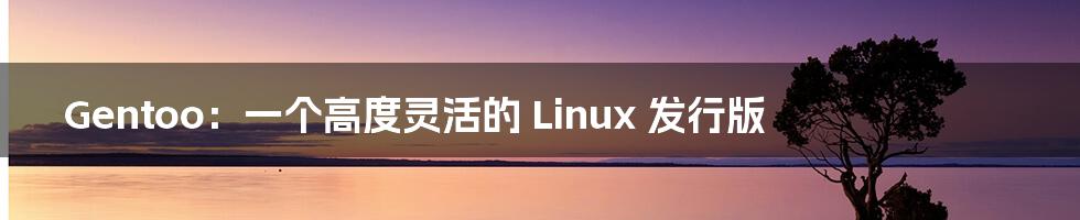 Gentoo：一个高度灵活的 Linux 发行版