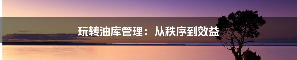 玩转油库管理：从秩序到效益