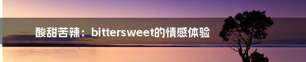 酸甜苦辣：bittersweet的情感体验