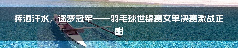 挥洒汗水，逐梦冠军——羽毛球世锦赛女单决赛激战正酣