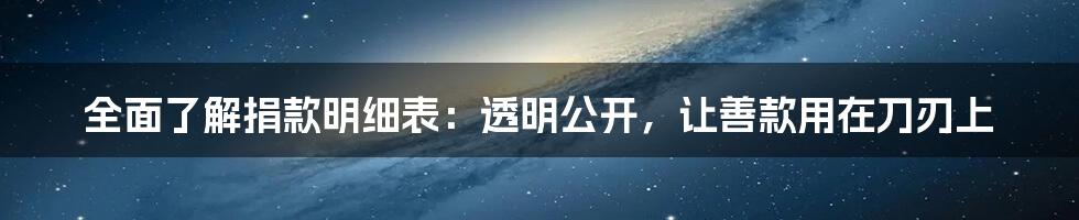 全面了解捐款明细表：透明公开，让善款用在刀刃上