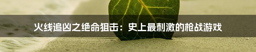 火线追凶之绝命狙击：史上最刺激的枪战游戏