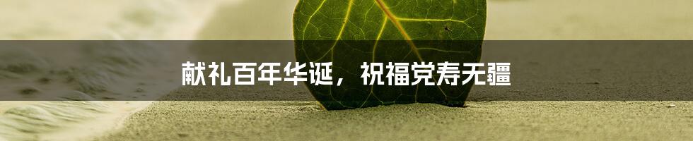 献礼百年华诞，祝福党寿无疆