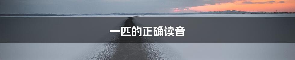 一匹的正确读音