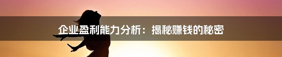 企业盈利能力分析：揭秘赚钱的秘密