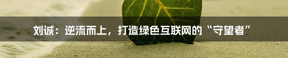 刘诚：逆流而上，打造绿色互联网的“守望者”